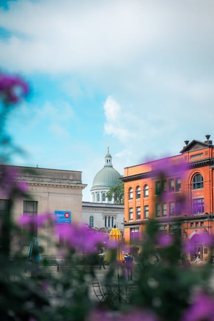 A cityscape featuring a variety of historic and modern buildings, with a prominent large white domed structure topped by a cupola located centrally in the background. In the foreground, out-of-focus purple and pink flowers partially obscure the view, adding a natural element to the scene. To the left, a grey stone building with decorative molding is visible, while on the right, a red-brick building with arched windows and detailed facades stands adjacent. The sky is partly cloudy with patches of blue, providing natural daylight that enhances the architectural details. The scene appears to be set in an urban area, possibly near a public square or street, with some pedestrians and seating visible at a distance, suggesting an active environment. This image could relate to independent waste collection or on-site clearance services by Rubbish Removal Kingston, especially in visualising the contrast between urban development and efforts to manage waste or improve public spaces.