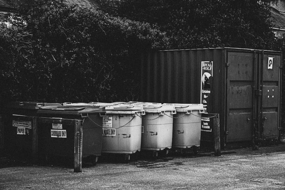 A row of six waste collection bins positioned on a paved surface in front of a large metal storage container. The bins are made of plastic, with some showing signs of wear and grime, each fitted with a lid, and arranged side by side with their wheels visible. The leftmost bin has a label indicating it is for paper waste, while the others have signs that specify they are for general waste or waste only. Behind the bins, dense foliage and trees are visible, casting shadows over the area. To the right of the bins is a dark, closed shipping container with a logo and warning signs on its side, situated on an outdoor area that appears to be part of a private waste management setup. The scene is lit with natural light, creating a contrast between the dark container and the lighter bins and ground, reflecting an environment suited for independent rubbish collection or on-site waste clearance, as managed by companies such as Rubbish Removal Kingston.